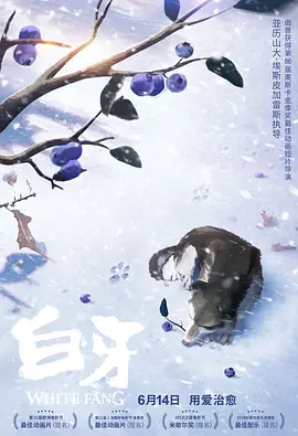 国产探花在线精品一区二区